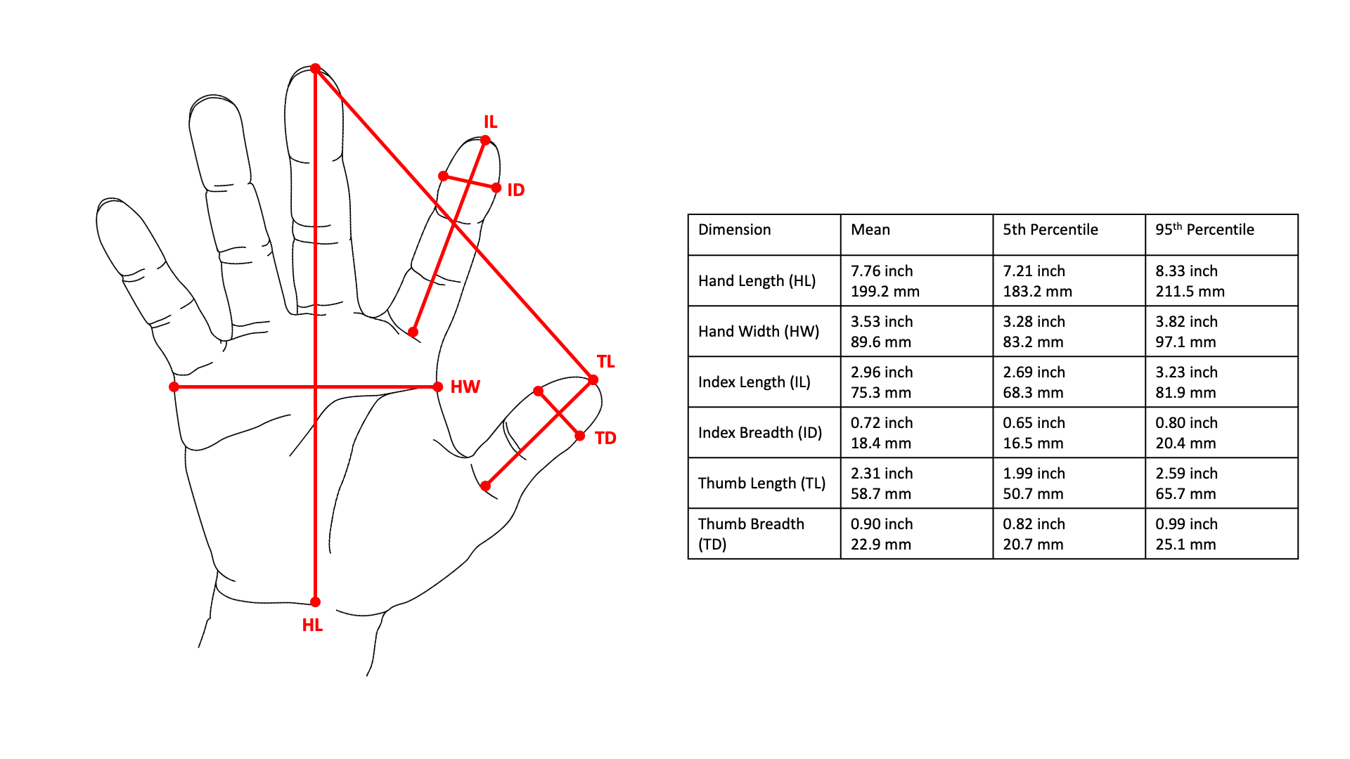 Figure 1 – Example of arthrometric dataset for hand, based on Anthropometry of the hands of male air force flight personnel, 19704